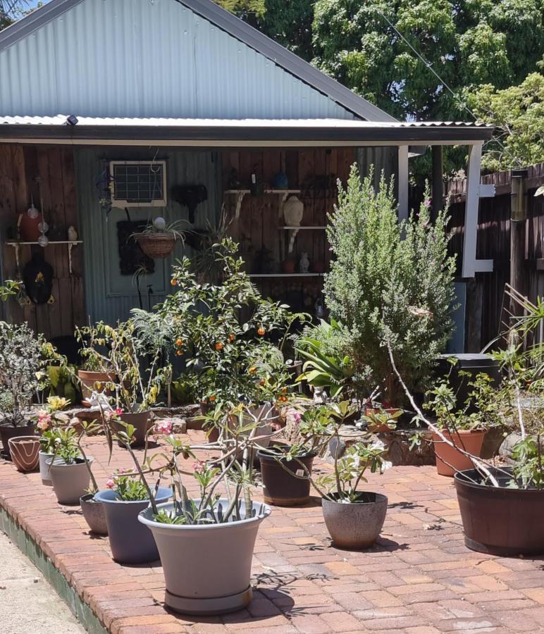 Jds Tropical Stays Cairns Exterior foto